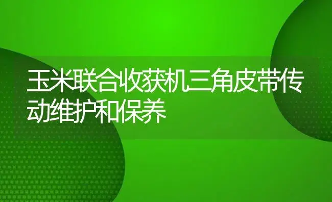 玉米联合收获机三角皮带传动维护和保养 | 农资农机