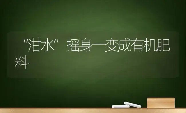 “泔水”摇身一变成有机肥料 | 植物肥料