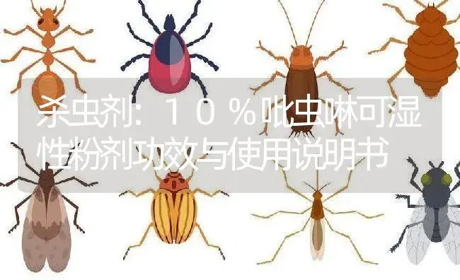 杀虫剂：10%吡虫啉可湿性粉剂 | 适用防治对象及农作物使用方法说明书 | 植物农药