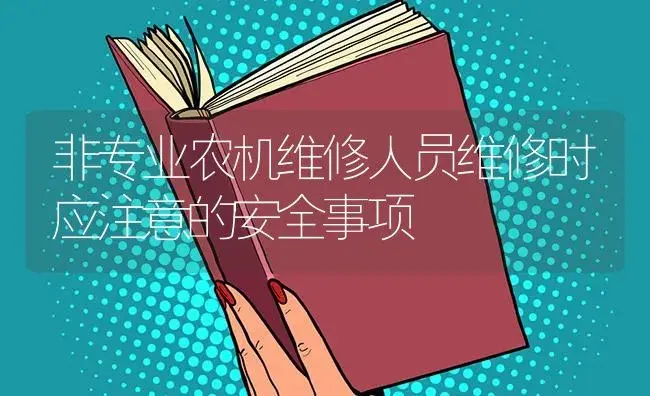 非专业农机维修人员维修时应注意的安全事项 | 农资农机