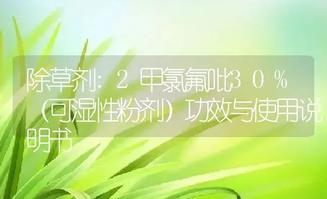 除草剂：2甲氯氟吡30%（可湿性粉剂） | 适用防治对象及农作物使用方法说明书 | 植物农药