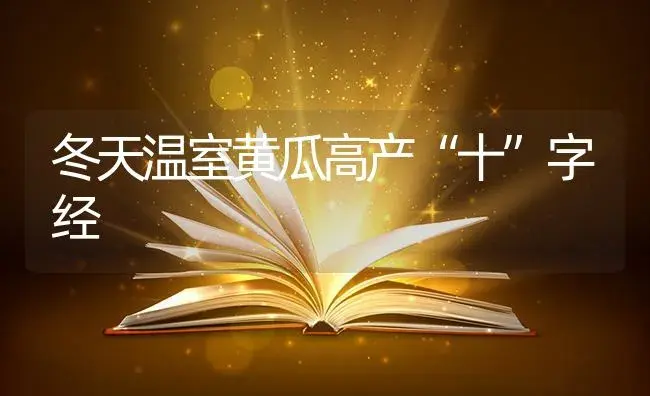 冬天温室黄瓜高产“十”字经 | 蔬菜种植