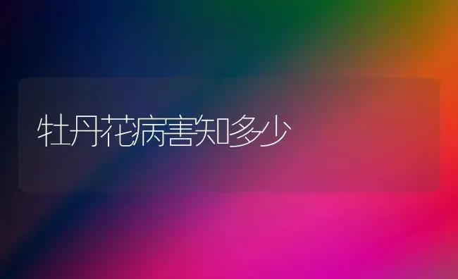 牡丹花病害知多少 | 植物病虫害