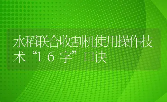 水稻联合收割机使用操作技术“16字”口诀 | 农资农机