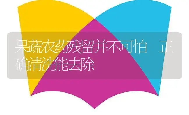 果蔬农药残留并不可怕 正确清洗能去除 | 植物病虫害