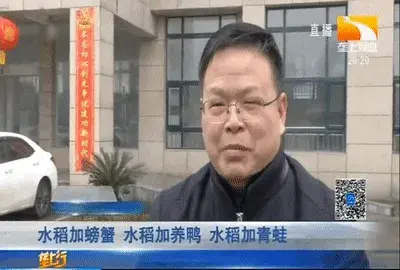 种水稻不挣钱？不可能！！看看他们是怎么调结构的