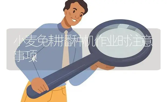 小麦免耕播种机作业时注意事项 | 农资农机