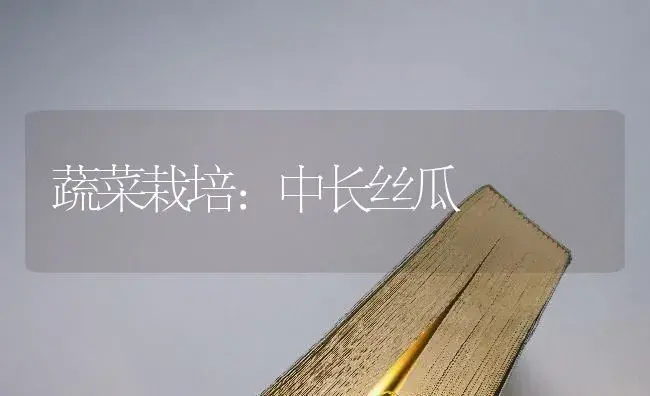 如何防治甘蓝吊丝虫 | 蔬菜种植