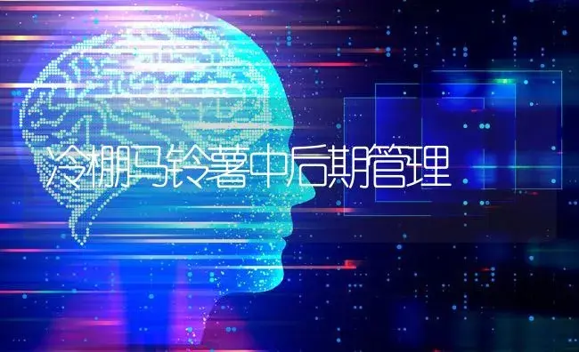 冷棚马铃薯中后期管理 | 蔬菜种植