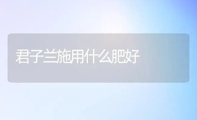 君子兰施用什么肥好 | 植物肥料