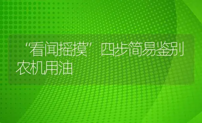 “看闻摇摸”四步简易鉴别农机用油 | 农资农机