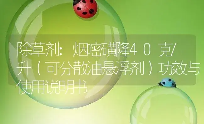 除草剂：烟嘧磺隆40克/升（可分散油悬浮剂） | 适用防治对象及农作物使用方法说明书 | 植物农药