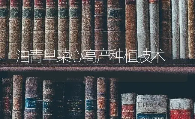 大棚西葫芦短粗瓜的解决方法 | 蔬菜种植