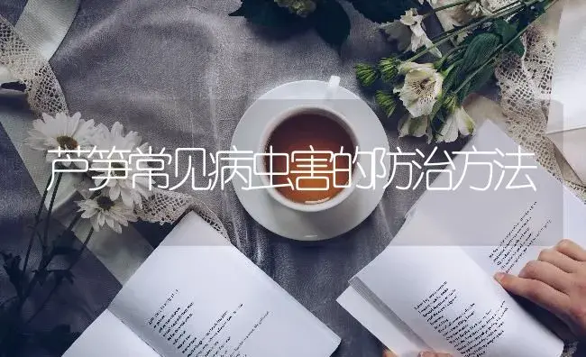 芦笋常见病虫害的防治方法 | 蔬菜种植