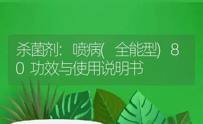 杀菌剂：喷病(全能型)80 | 适用防治对象及农作物使用方法说明书 | 植物农药