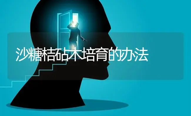 沙糖桔砧木培育的办法 | 蔬菜种植