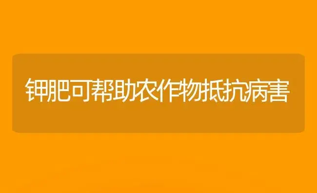 钾肥可帮助农作物抵抗病害 | 植物肥料