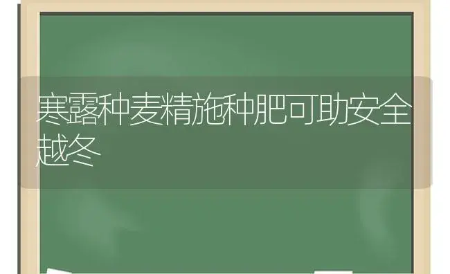 寒露种麦精施种肥可助安全越冬 | 植物肥料