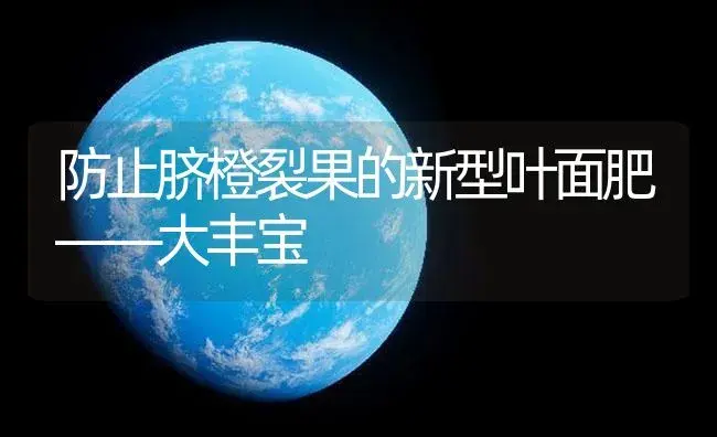 防止脐橙裂果的新型叶面肥――大丰宝 | 植物肥料