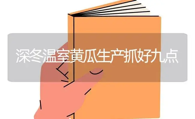 深冬温室黄瓜生产抓好九点 | 蔬菜种植