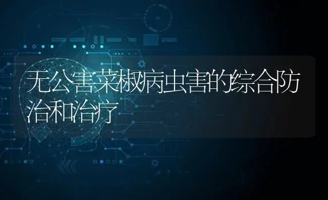 无公害菜椒病虫害的综合防治和治疗 | 蔬菜种植