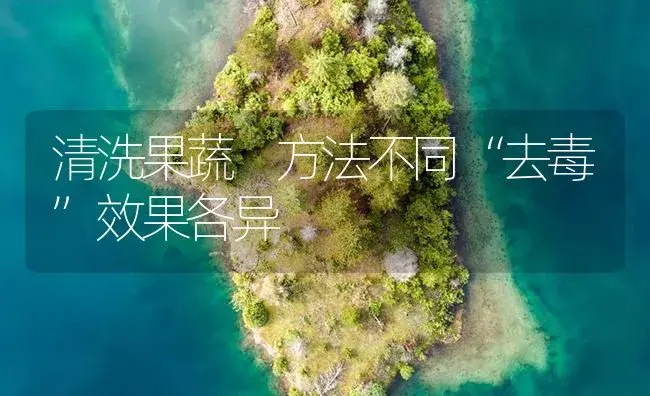 清洗果蔬 方法不同“去毒”效果各异 | 植物病虫害