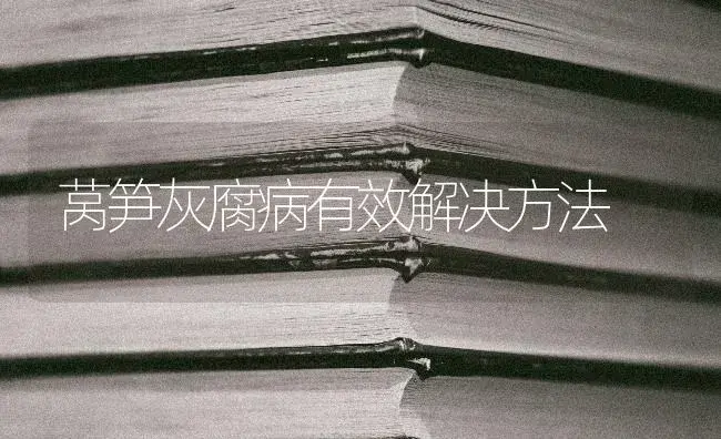 莴笋灰腐病有效解决方法 | 蔬菜种植