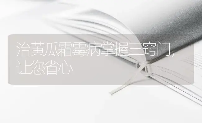 治黄瓜霜霉病掌握三窍门，让您省心 | 蔬菜种植