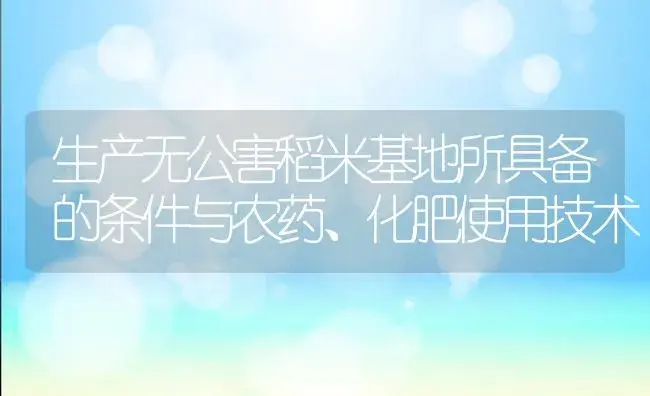 生产无公害稻米基地所具备的条件与农药、化肥使用技术 | 植物肥料