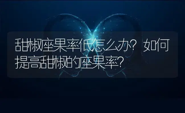 甜椒座果率低怎么办？如何提高甜椒的座果率？ | 蔬菜种植