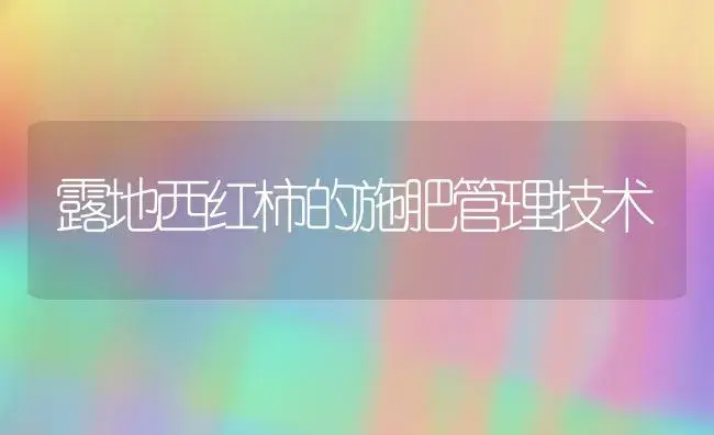 露地西红柿的施肥管理技术 | 植物肥料