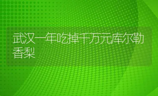 武汉一年吃掉千万元库尔勒香梨 | 植物病虫害