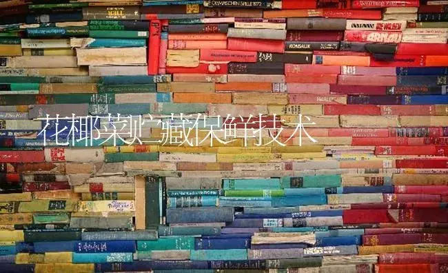 花椰菜贮藏保鲜技术 | 蔬菜种植