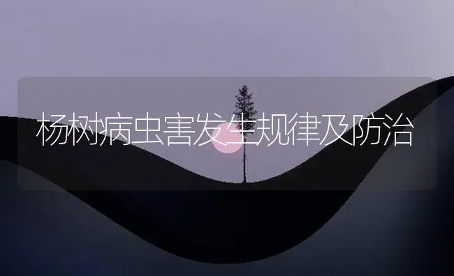 杨树病虫害发生规律及防治 | 植物病虫害