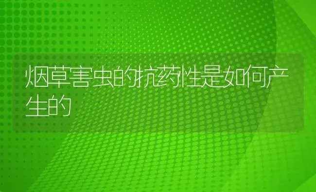 烟草害虫的抗药性是如何产生的 | 植物病虫害