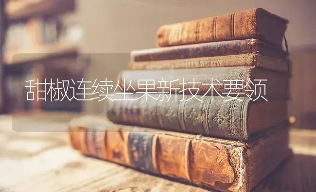 甜椒连续坐果新技术要领 | 蔬菜种植