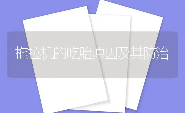 拖拉机的吃胎原因及其防治 | 农资农机