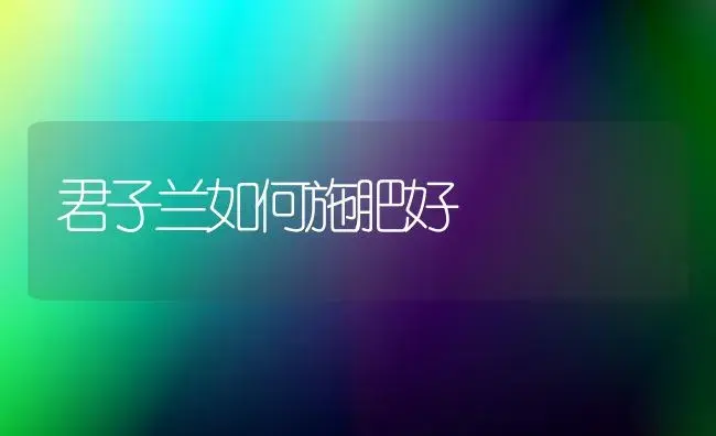 君子兰如何施肥好 | 植物肥料