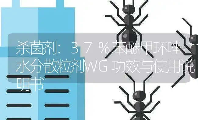 杀菌剂：37%苯醚甲环唑水分散粒剂WG | 适用防治对象及农作物使用方法说明书 | 植物农药