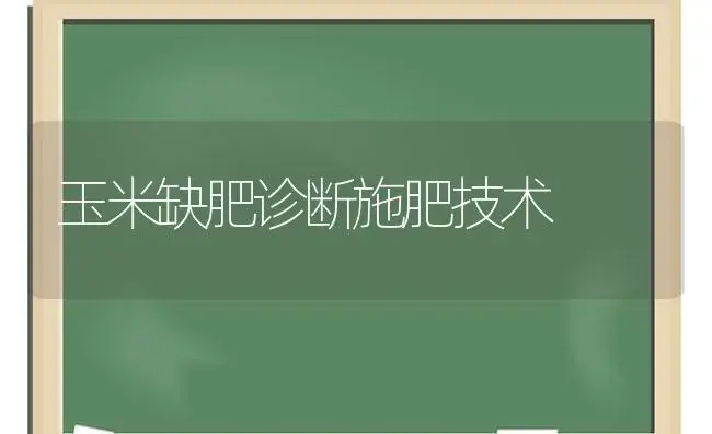 玉米缺肥诊断施肥技术 | 植物肥料