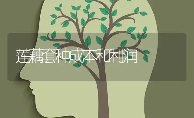 莲藕套种成本和利润 | 蔬菜种植