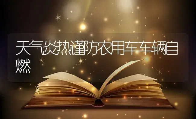 天气炎热谨防农用车车辆自燃 | 农资农机