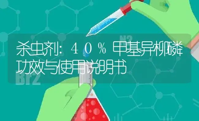 杀虫剂：40%甲基异柳磷 | 适用防治对象及农作物使用方法说明书 | 植物农药