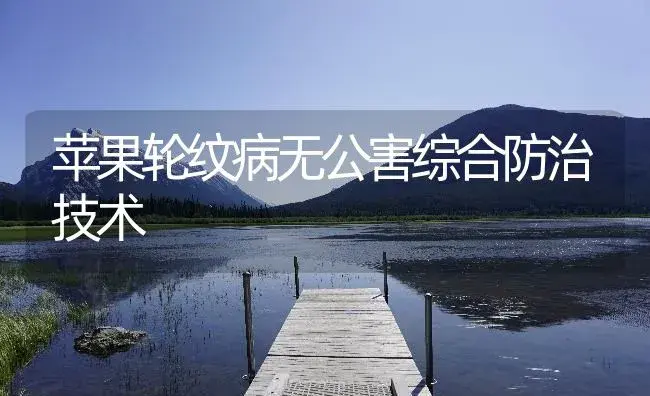 苹果轮纹病无公害综合防治技术 | 植物病虫害