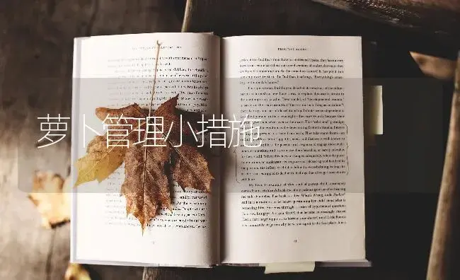 萝卜管理小措施 | 蔬菜种植