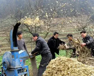 土壤板结怎么办,这五种措施帮你解决！