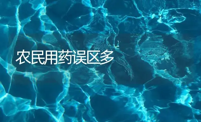 农民用药误区多 | 植物病虫害