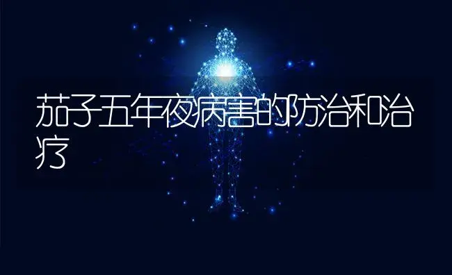 茄子五年夜病害的防治和治疗 | 蔬菜种植