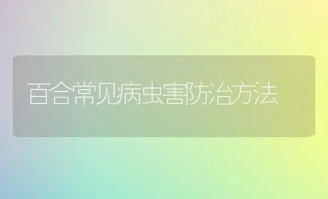 百合常见病虫害防治方法 | 植物病虫害