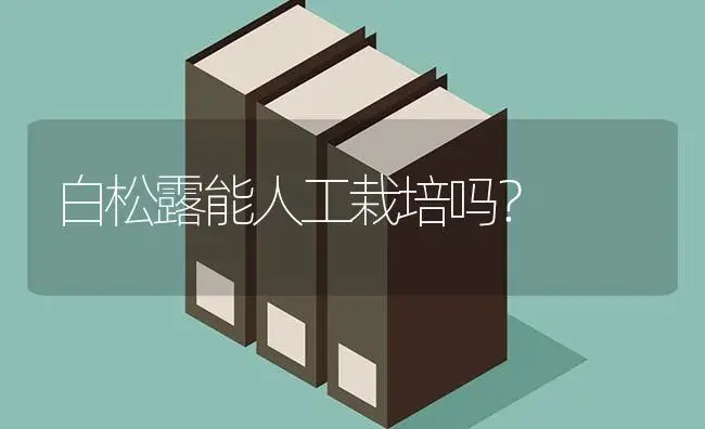 白松露能人工栽培吗？ | 蔬菜种植